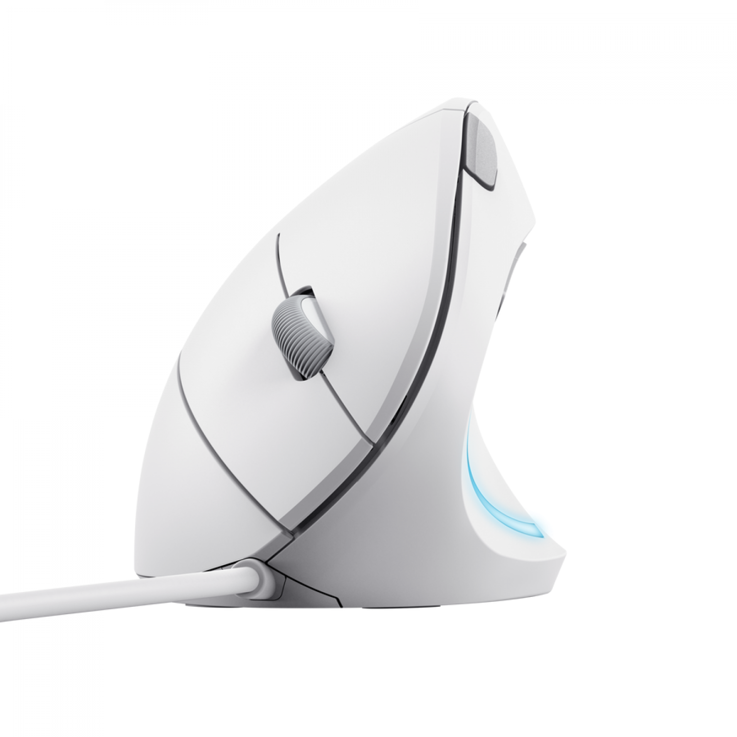 Mouse TRUST Verto Ergo