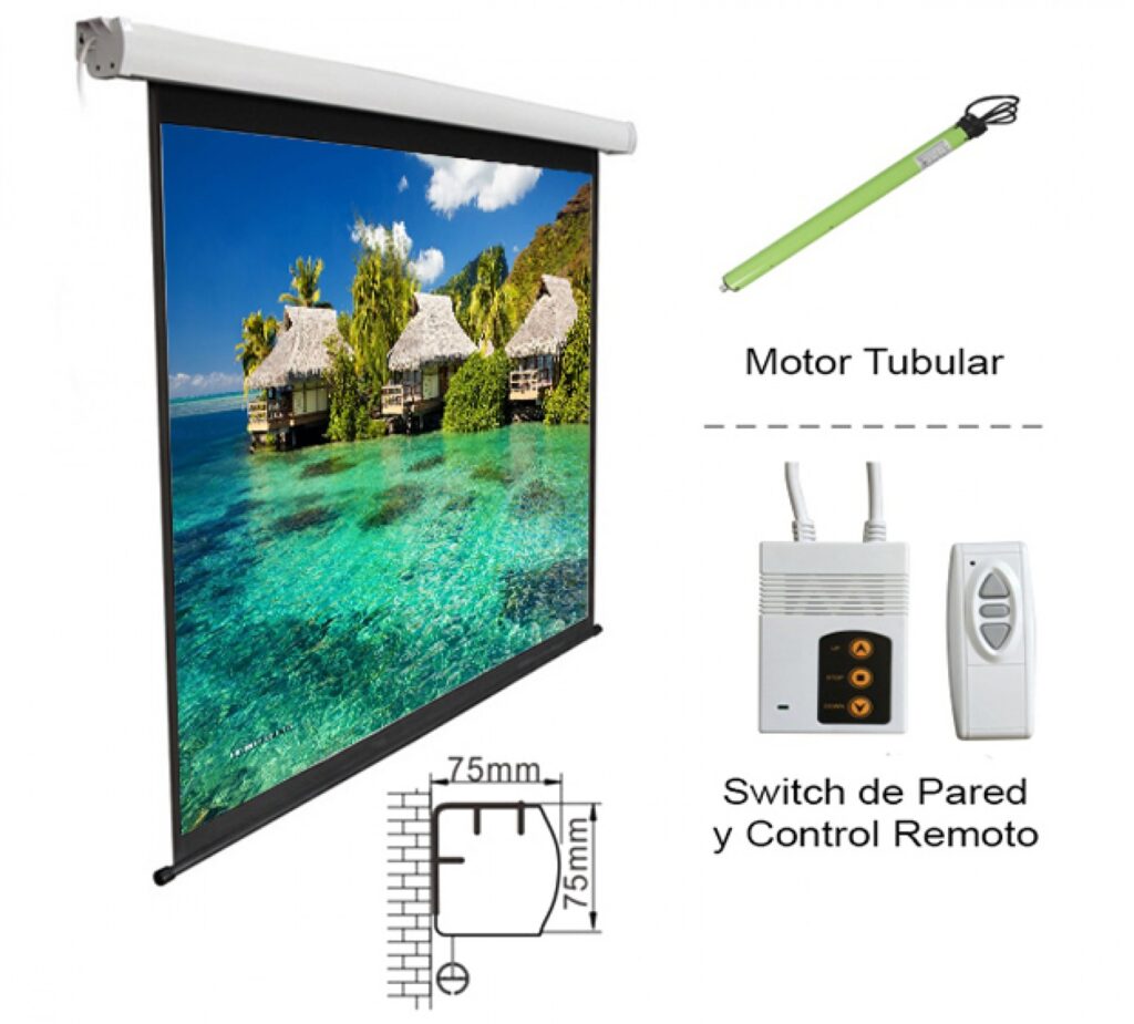 Pantalla de proyección INTELAID IT-PSE150