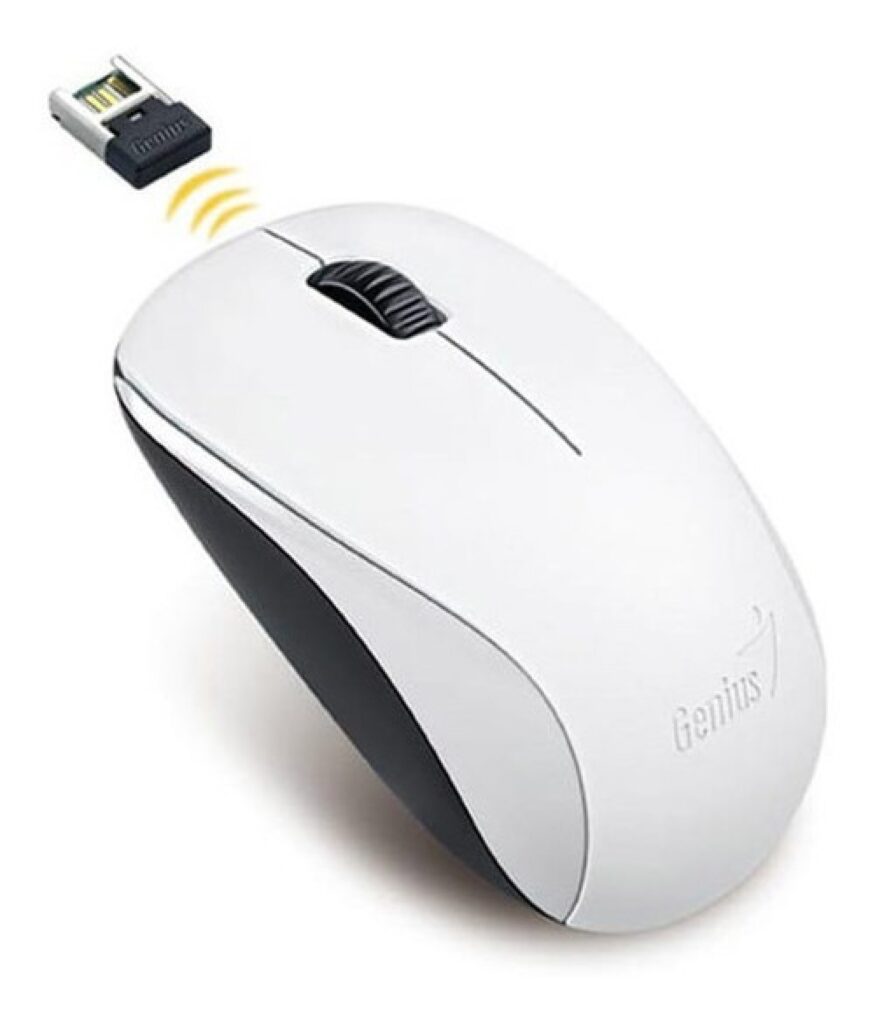 Mouse Genius NX-7000